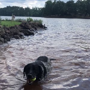 Meet your Posher, Laura